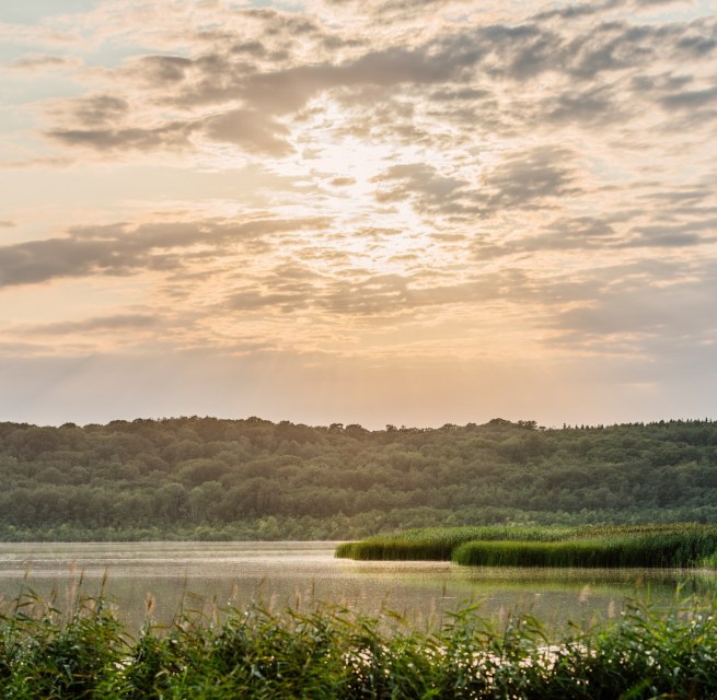 © Binzer Bucht Tourismus © Binzer Bucht Tourismus