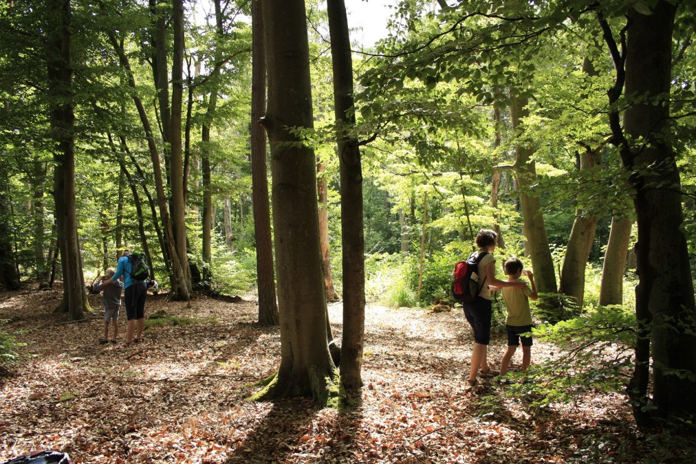 Natur_auf_der_Spur_2, © NPA Vorpommern