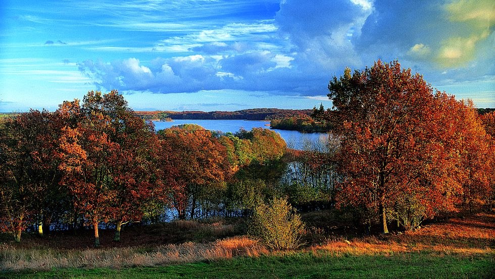 Betörendes Fabenspiel: Das Feldberger Seenland ist zu jeder Jahreszeit eine Reise wert, © TMV/Grundner