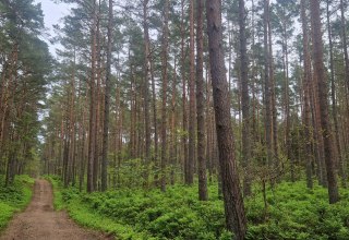 &copy; Kurverwaltung Goehren