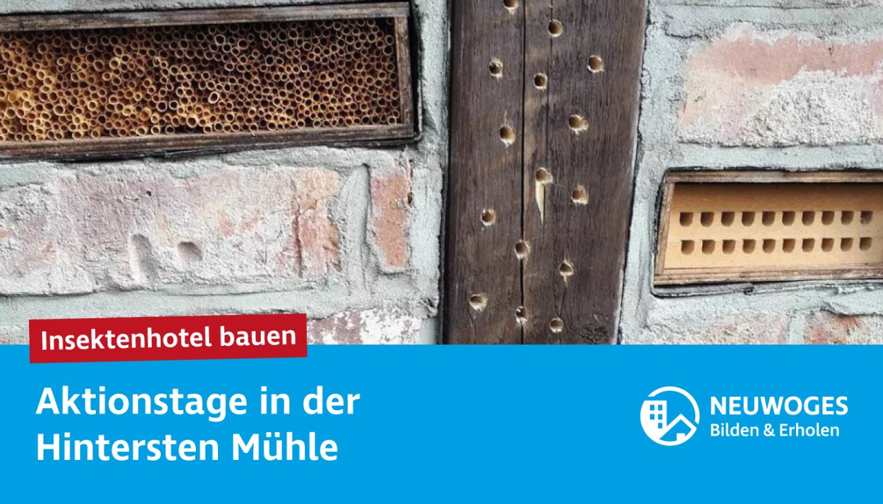 nwg-soc-med_2025_hinterste-m&uuml;hle_action-days-e, &copy; NEUWOGES