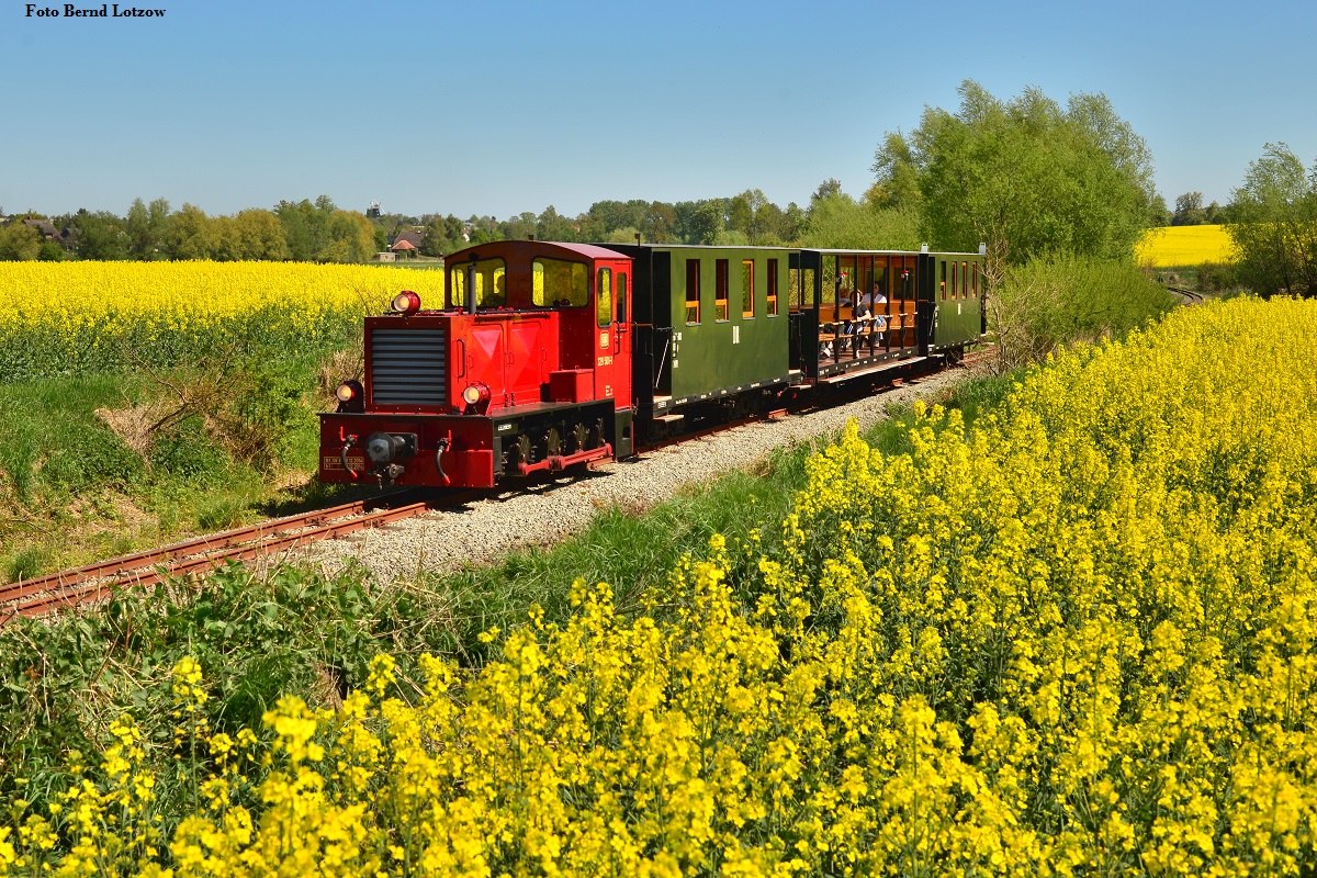 Locomotive in the rape field // &copy; Bernd Lotzow