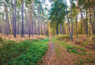 © insel-fotograf.eu, Andreas Dumke