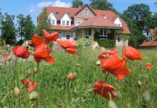 &copy; Maxi Wei&szlig;