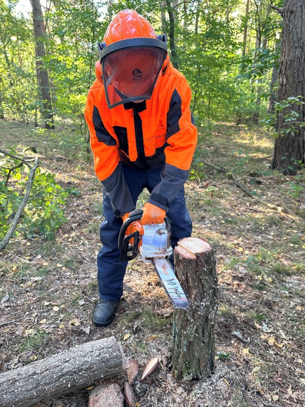 &copy; Marketing LEEA