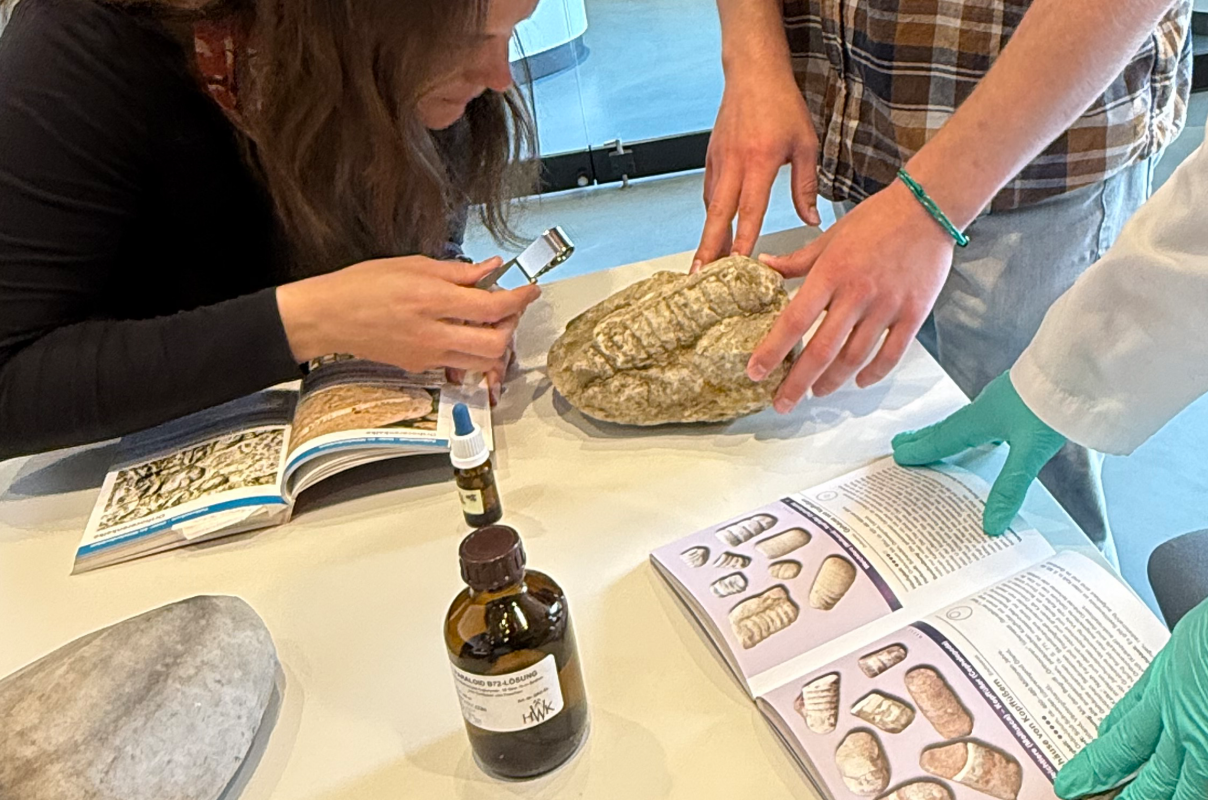 Wat voor soort steen is dit? // &copy; Claudia Siatkowski/M&uuml;ritzeum