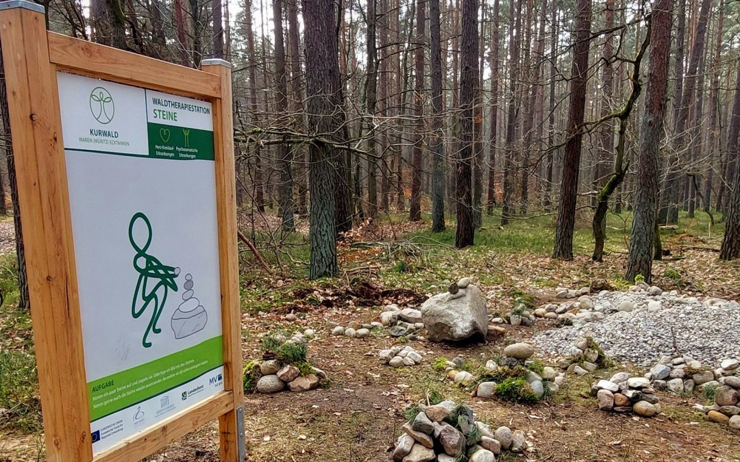 Kurwald 2 t.s., © Waren (Müritz) Kur- und Tourismus GmbH