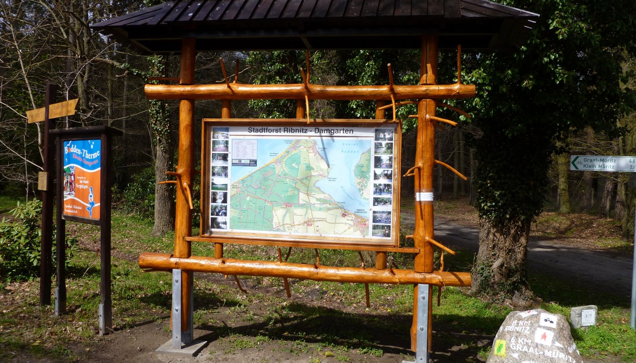 Table urban forest, © Stadt Ribnitz Damgarten