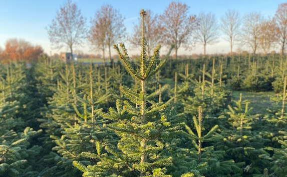 © Nadine Malß © Nadine Malß