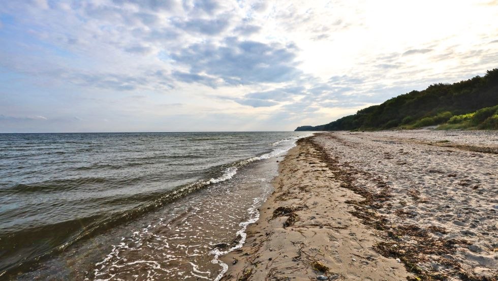 Surfspot Groß Schwansee, © TMV, Danny Gohlke Surfspot Groß Schwansee, © TMV, Danny Gohlke