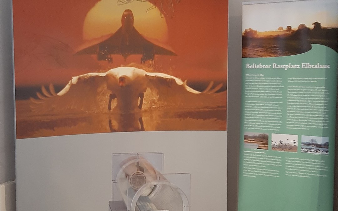 interactieve tentoonstelling, © Biosphaerium Elbtalaue