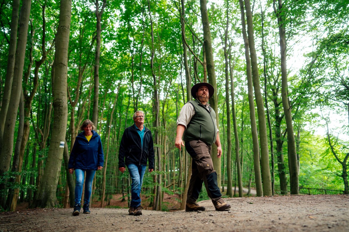 © Nationalpark-Zentrum KÖNIGSSTUHL / Dan Petermann © Nationalpark-Zentrum KÖNIGSSTUHL / Dan Petermann