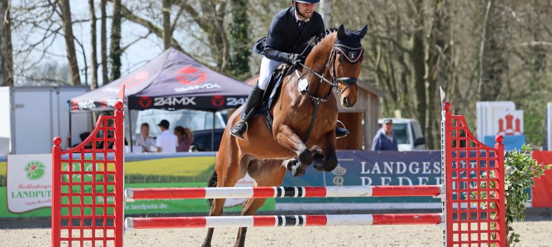 © Chrissis Pferdebilder © Chrissis Pferdebilder