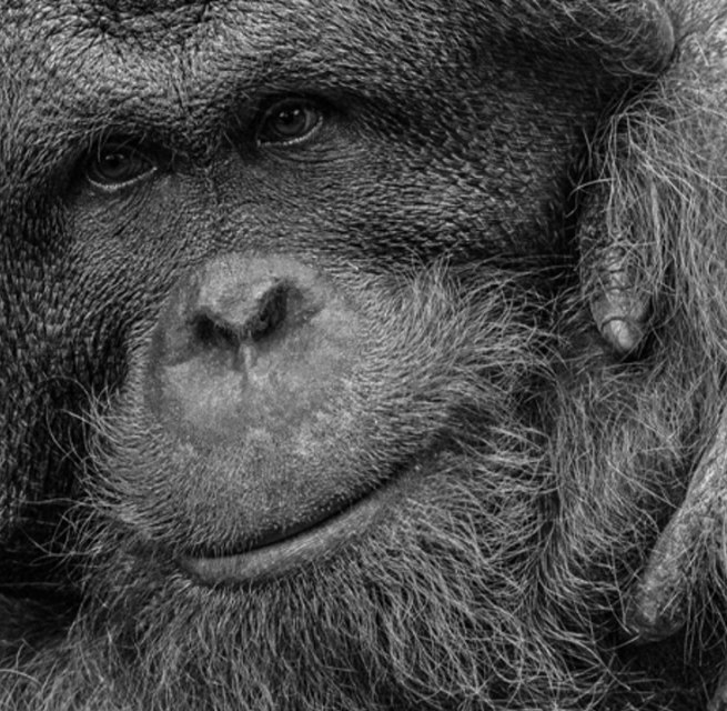 &copy; Lothar W&ouml;lfel