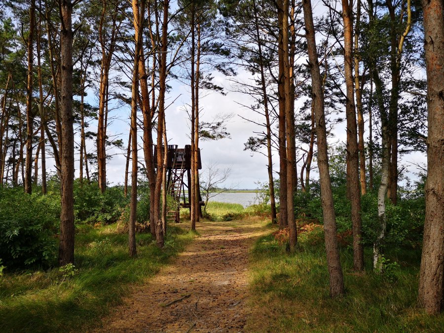 hochsitz-fuchsberg_barth_nicole-paszehr_web hochsitz-fuchsberg_barth_nicole-paszehr_web