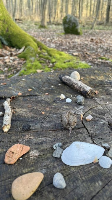 Miejsce kultu, © TZ Südliche Boddenküste