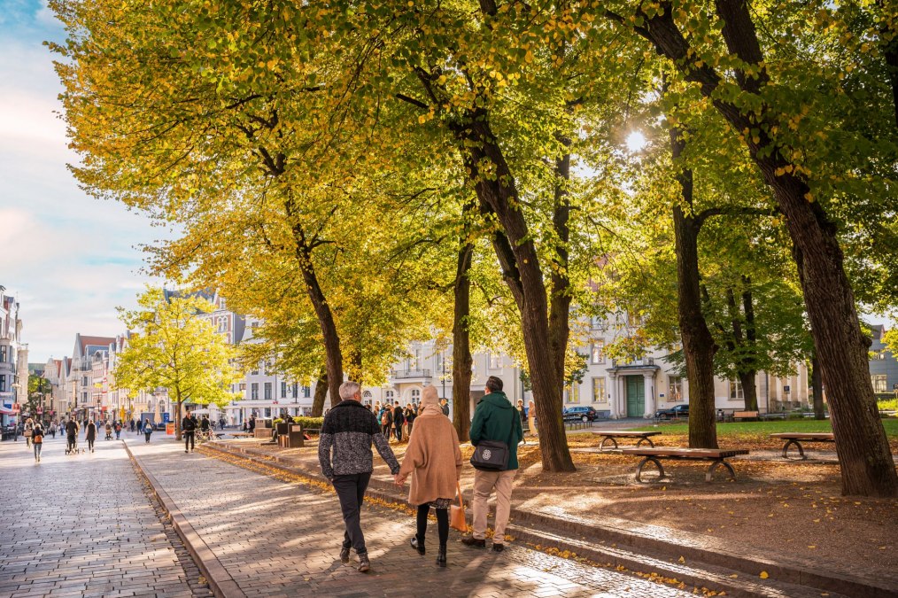 Rostock_Universitätsplatz_city_tour_10_22, © Markus Tiemann Rostock_Universitätsplatz_city_tour_10_22, © Markus Tiemann