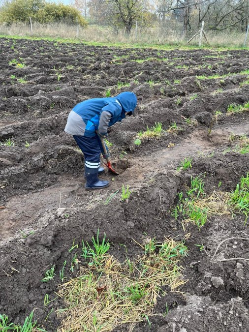 Las klimatyczny Dreschvitz - kampania sadzenia jesienią 2024 r., © Landesforst MV