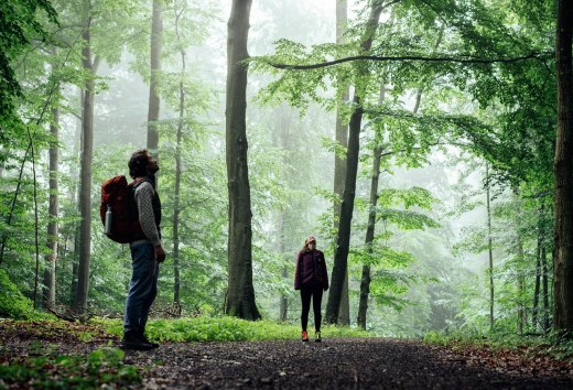 Mężczyzna i kobieta stoją w lesie i patrzą w g&oacute;rę na korony drzew