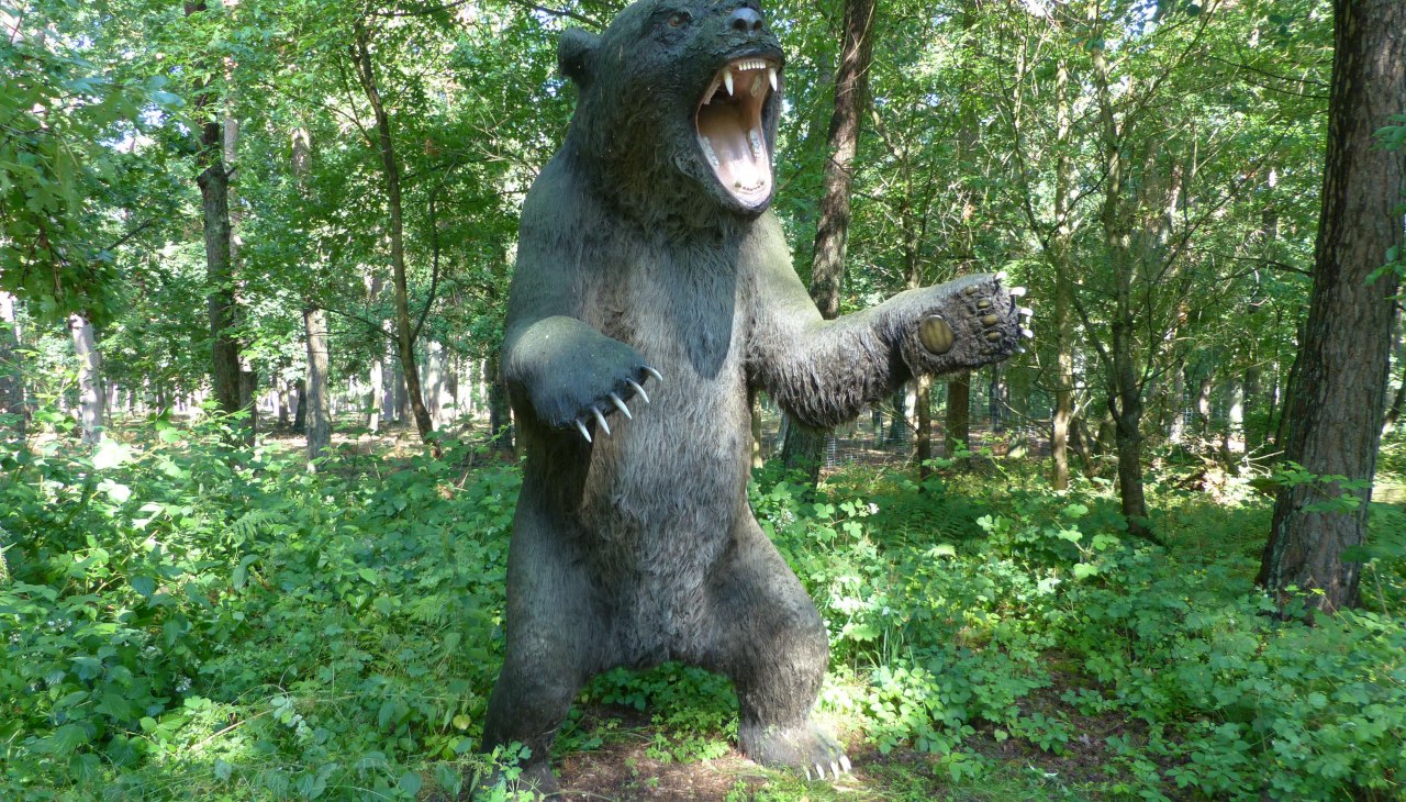 P1140115, &copy; Weichbrodt