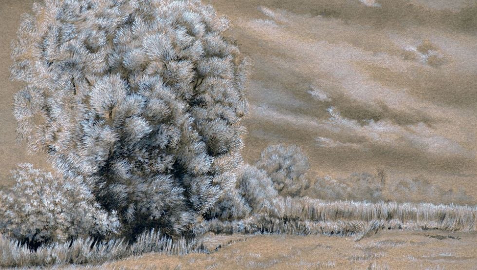 Landscape, &copy; Christine Becker