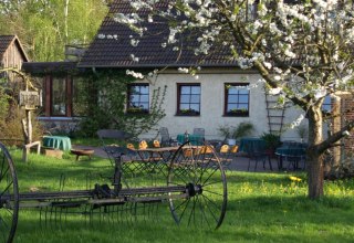 © Luise Beaumont © Luise Beaumont