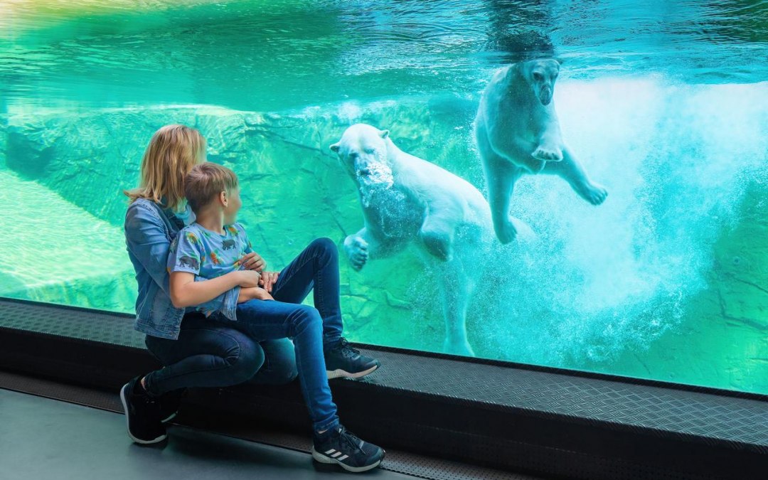 Wizyta w Polarium Rostock, &copy; TMV/Tiemann