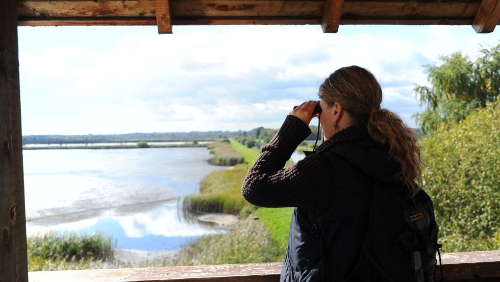 Vanaf de uitkijktoren hebben bezoekers een indrukwekkend uitzicht over de visvijvers., © TMV/Foto@Andreas-Duerst.de