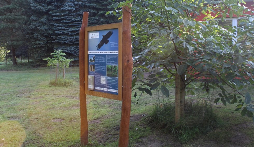 Tablica informacyjna dotycząca zakrojonego na szeroką skalę projektu ochrony przyrody Nordvorpommersche Waldlandschaft // © Nicole Wasmund Tablica informacyjna dotycząca zakrojonego na szeroką skalę projektu ochrony przyrody Nordvorpommersche Waldlandschaft // © Nicole Wasmund