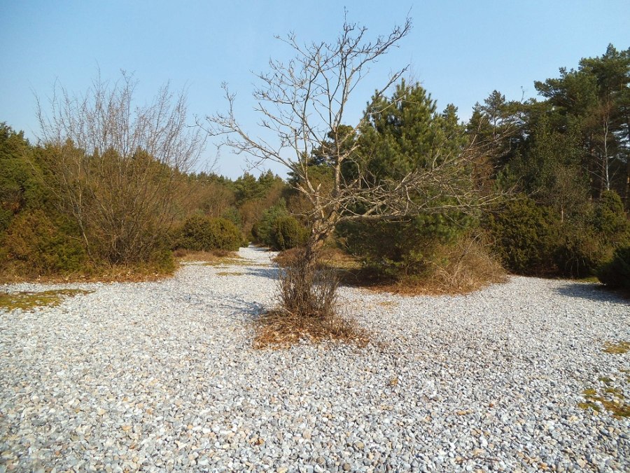 Pola krzemienne w Prora, © Tourismuszentrale Rügen