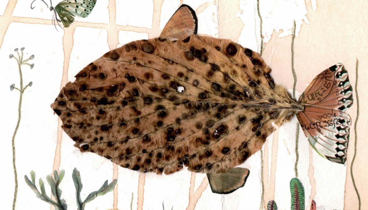FLH_exhibition_small leaf fish_photo©Heidrun Boddin, © Heidrun Boddin