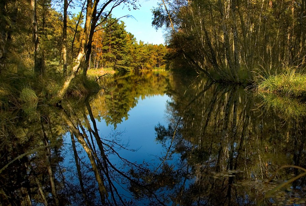 Jezioro bagienne, © Stadt Ribnitz Damgarten