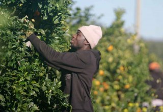 © @ThePickers.org © @ThePickers.org