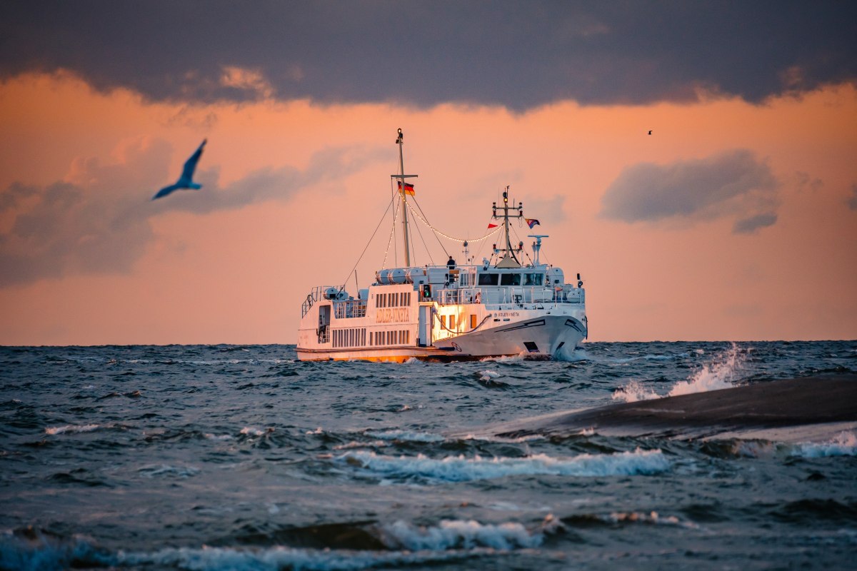 MS Adler Vineta: The MS Adler Vineta on the Baltic Sea off the coast of Usedom at dusk. // © Adler-Schiffe MS Adler Vineta: The MS Adler Vineta on the Baltic Sea off the coast of Usedom at dusk. // © Adler-Schiffe