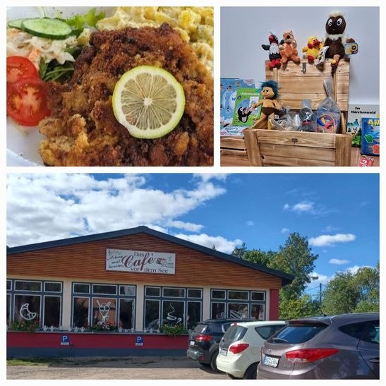 &copy; A. Fabich-Albrecht