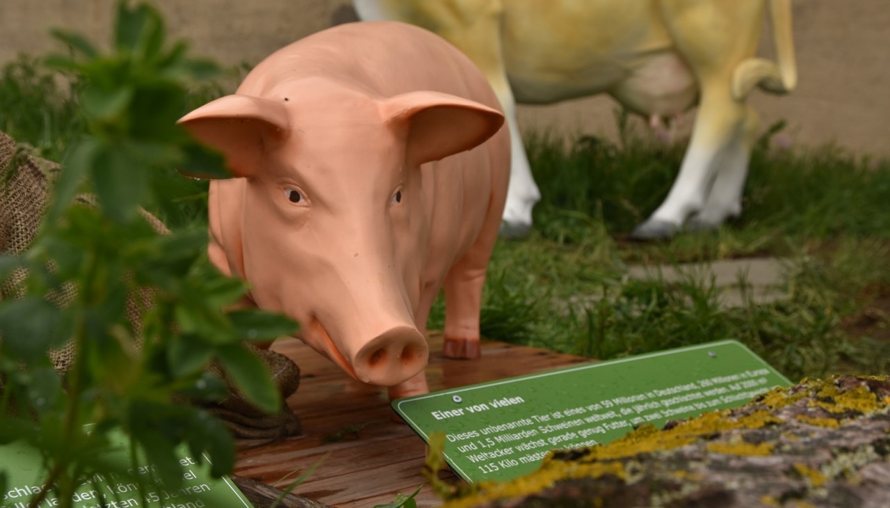 Stacja mięsna w Weltacker, © Lena Willisch Stacja mięsna w Weltacker, © Lena Willisch