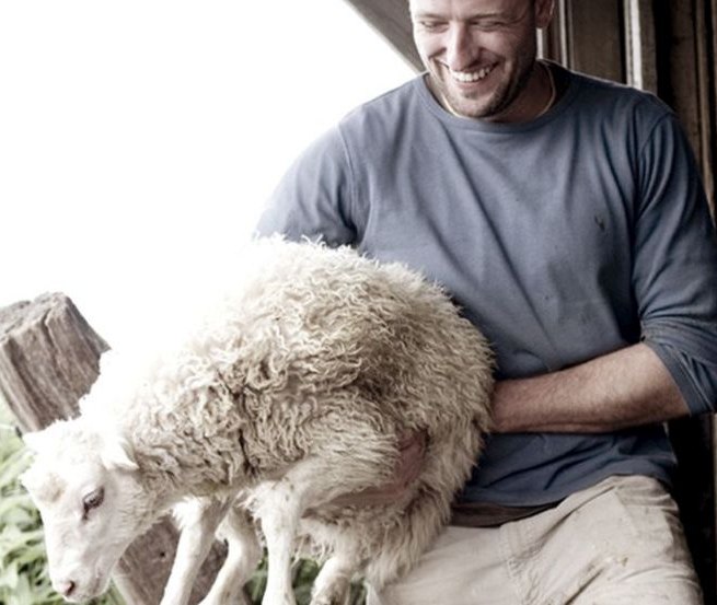 © Schillings Gasthof © Schillings Gasthof