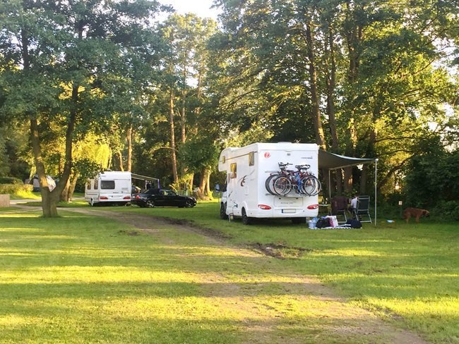 Standplaatsen tussen de bomen, © Wald- und Seeblick Camp Zislow