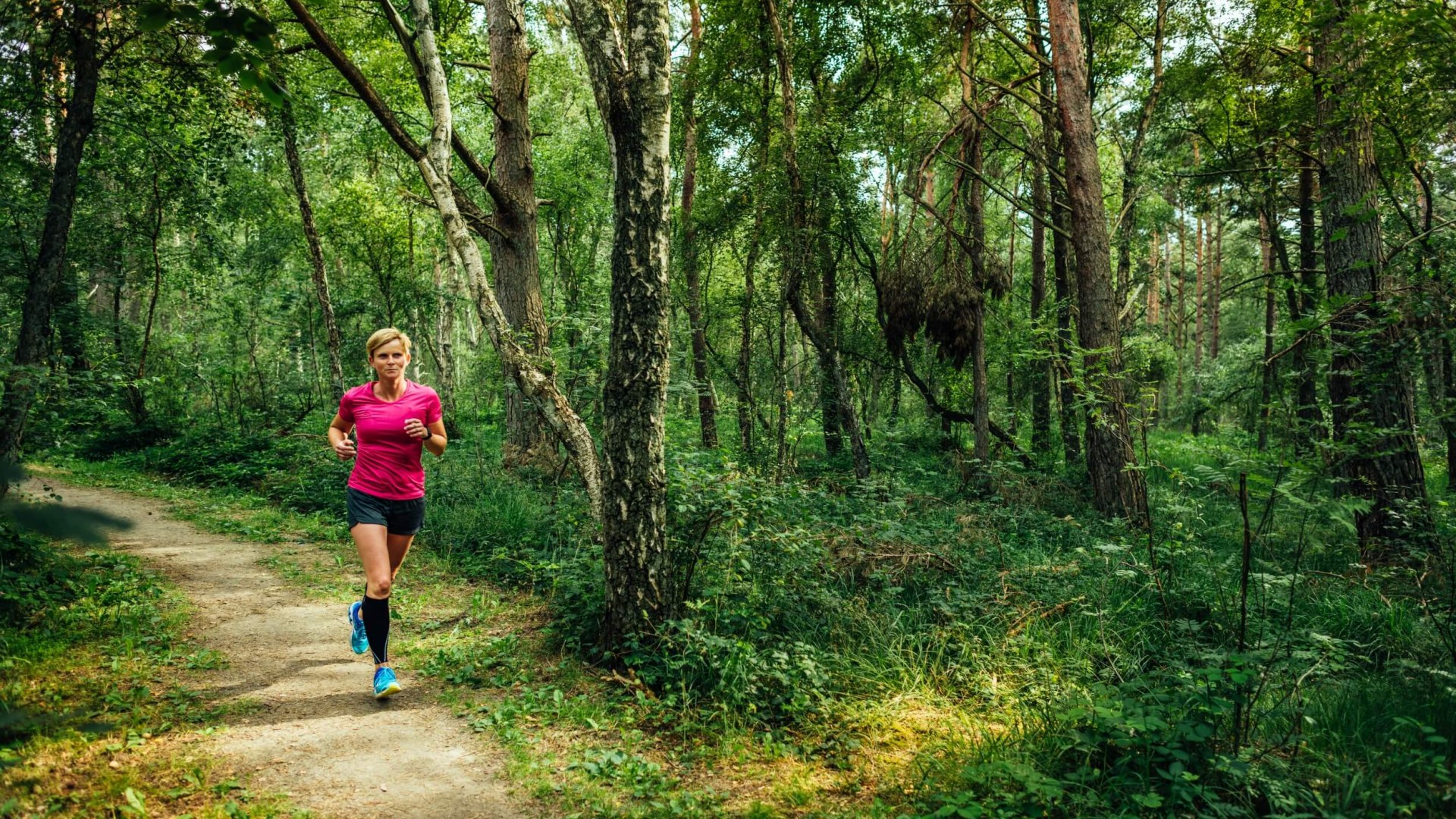 De koele boslucht en de verende ondergrond ... in het natuurreservaat Ribnitzer Großes Moor zijn goed voor een lange duurloop, © TMV/Tiemann Jogger in het natuurreservaat Ribnitzer Großes Moor