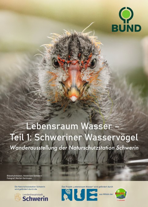 © BUND M-V - Naturschutzstation Schwerin
