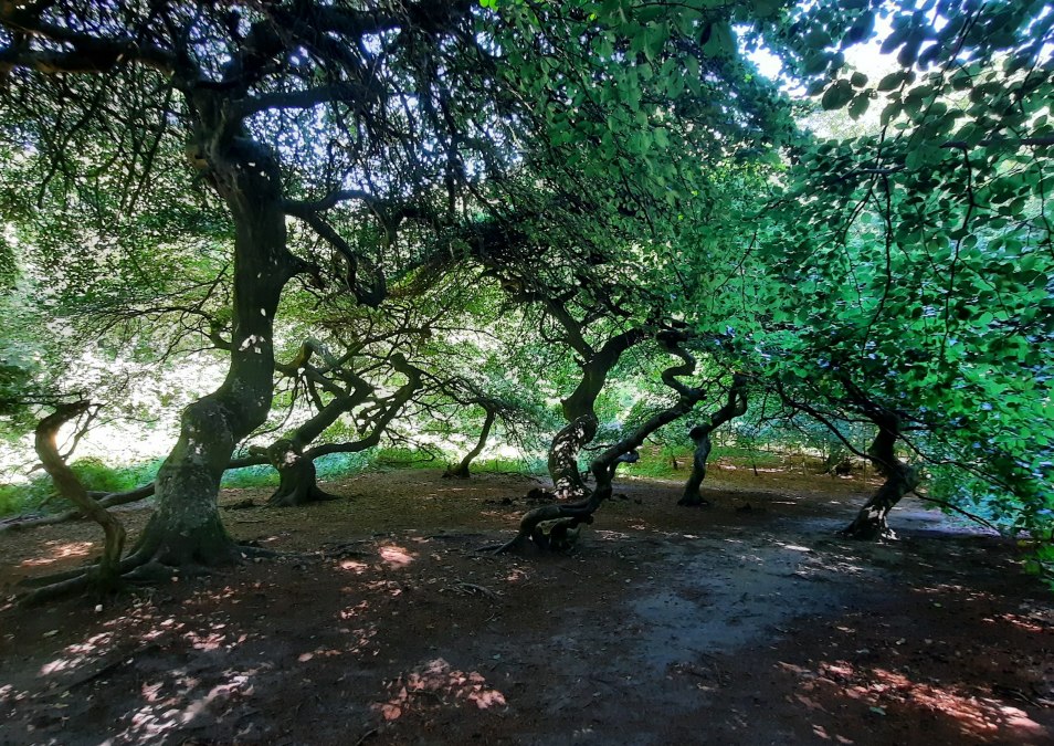 © eigenes Foto © eigenes Foto