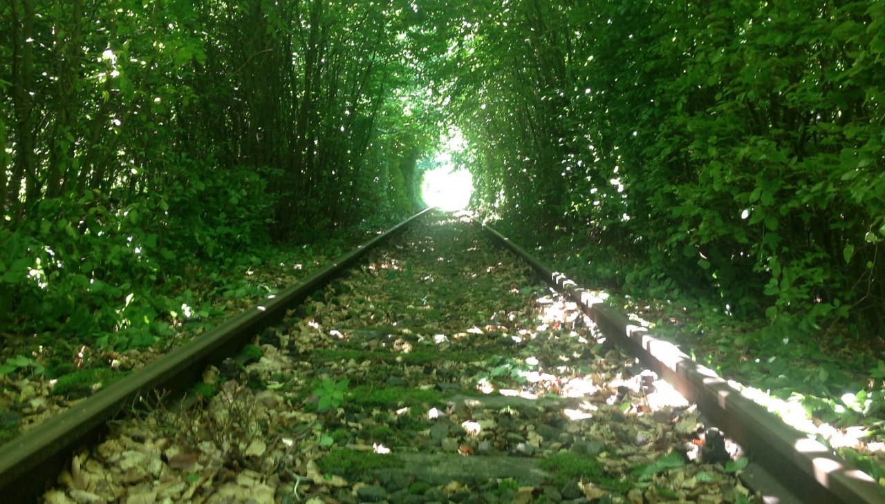 Entry into the approx. 1km long book tunnel, © Naturpark Draisine Dargun Entry into the approx. 1km long book tunnel, © Naturpark Draisine Dargun