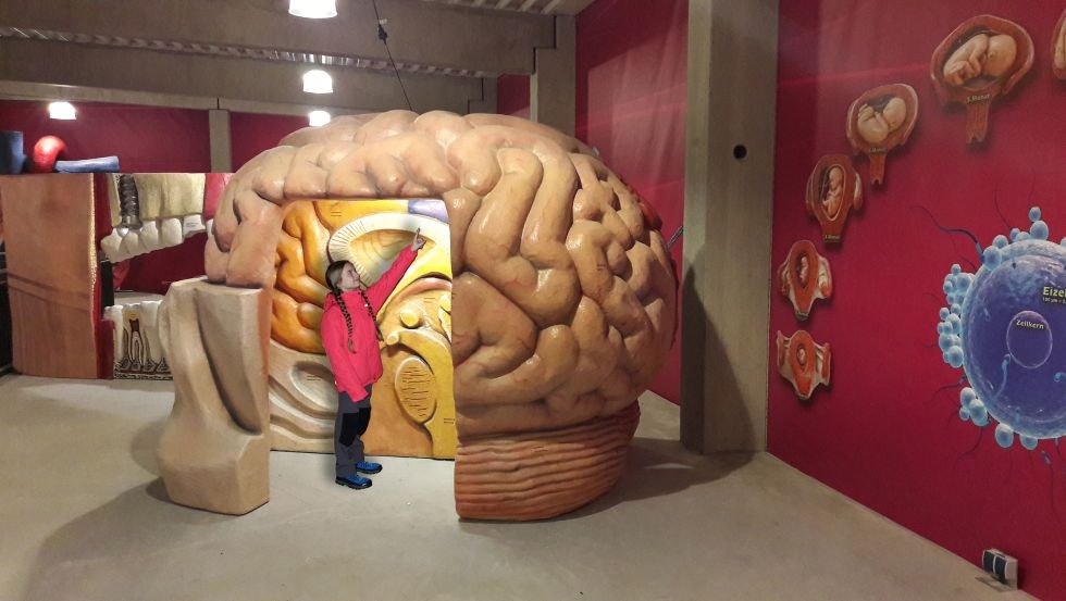 Science explained the easy way, &copy; Galileum Fehmarn GmbH