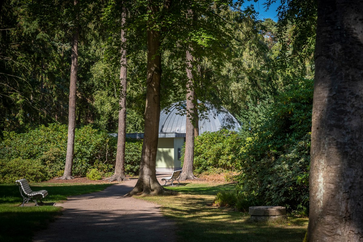 Park Rododendron&oacute;w Graal-M&uuml;ritz // &copy; Andr&eacute; Pristaff (TuK)