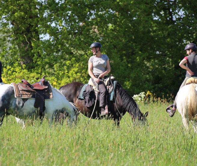 Leisurely ride to the rape blossom // &copy; ART.Quartier/Anne Hille