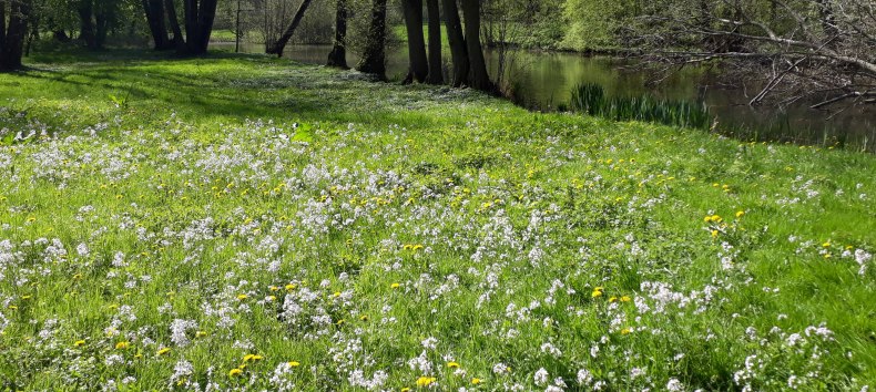 Frühling im Park Semlow // © Petra Rackow Frühling im Park Semlow // © Petra Rackow