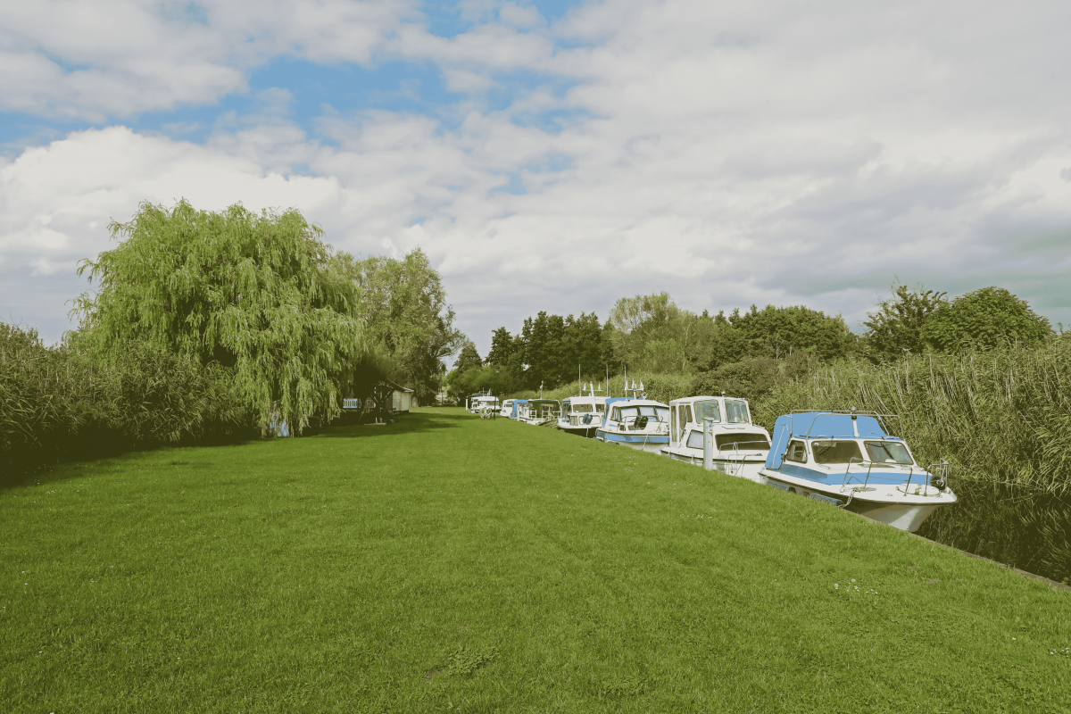 Mooring at the meadow // © MV-T/Gohlke Mooring at the meadow // © MV-T/Gohlke