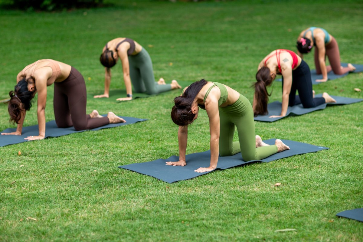 © Shutterstock © Shutterstock