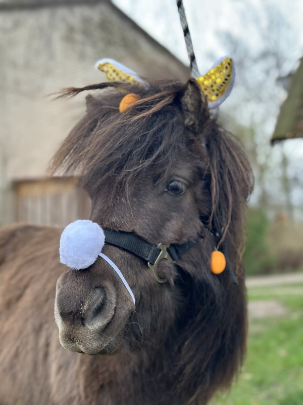 Pasen met de Bernstein Ruiters, &copy; De