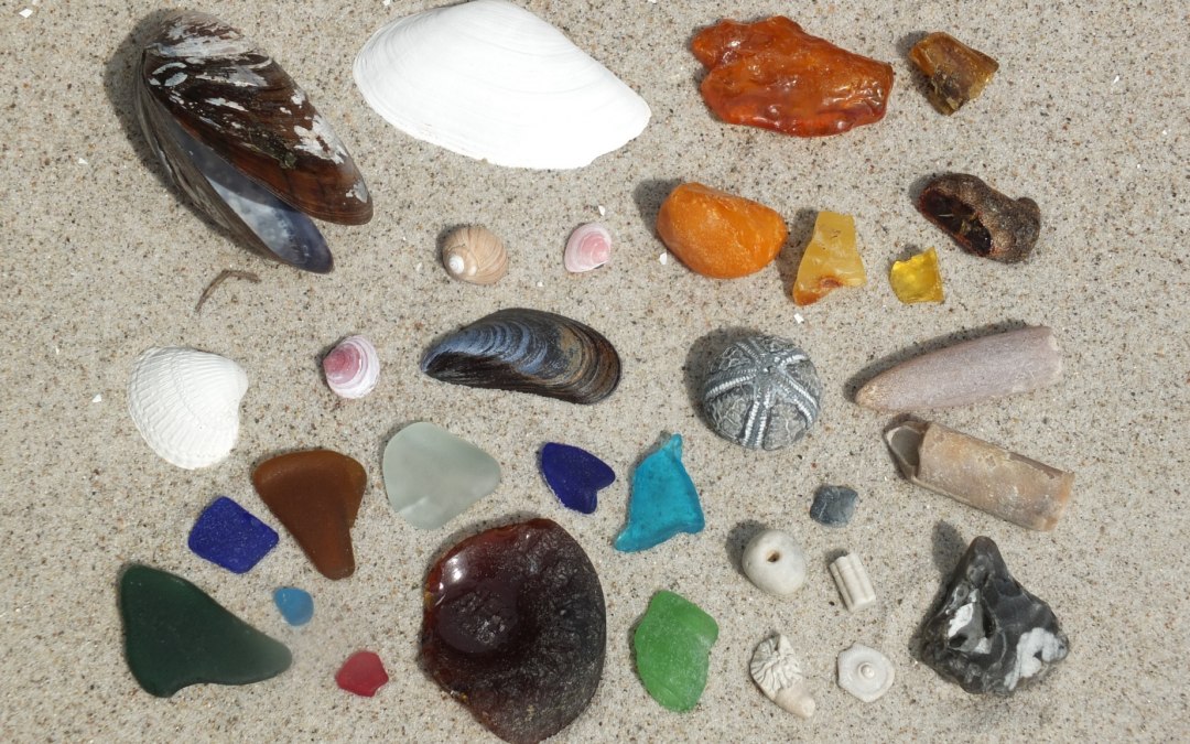 Strandvondsten van het Oostzeestrand, © Martin Hagemann